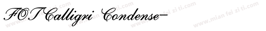 FOTCalligri Condense字体转换